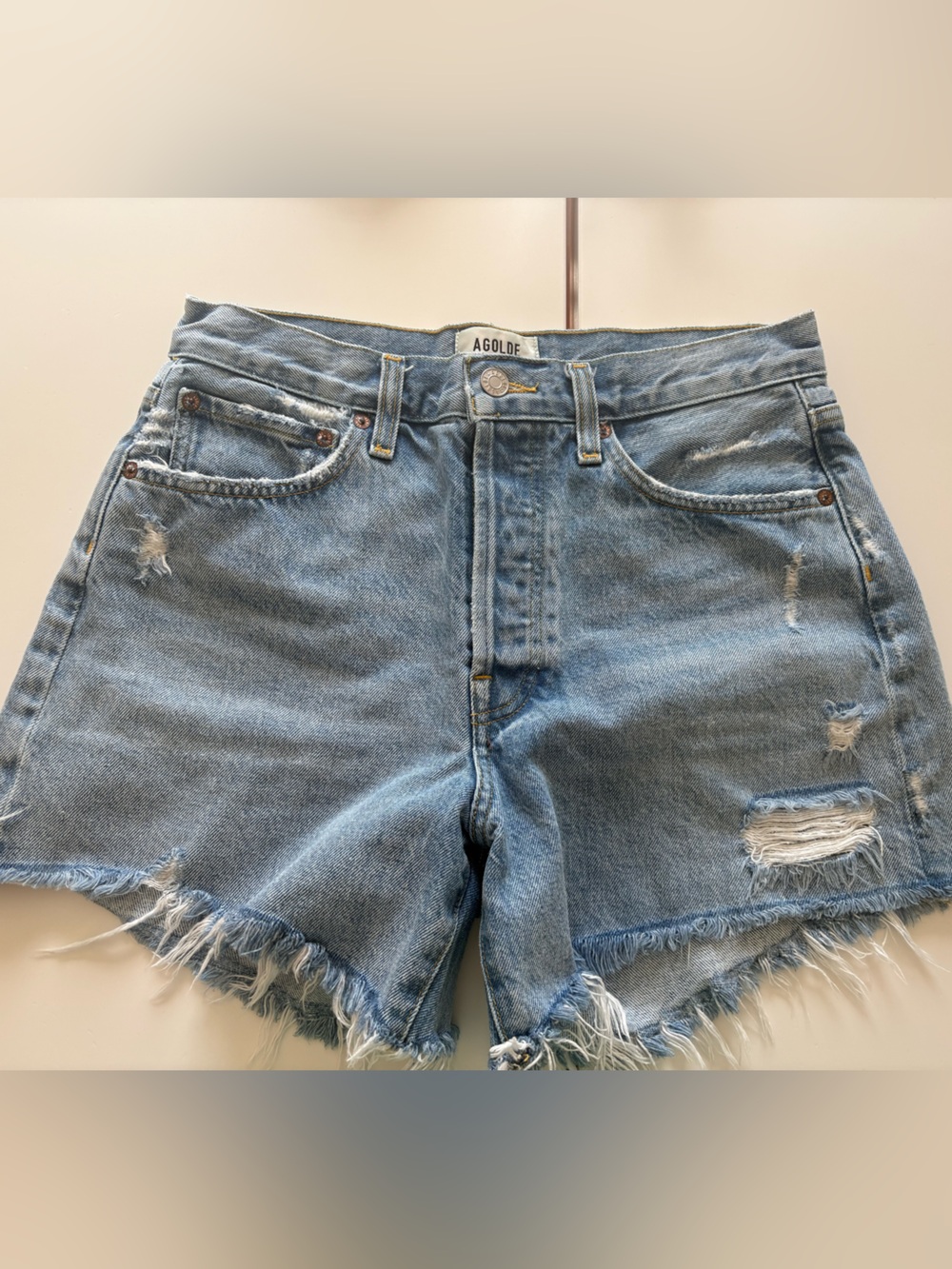 Agolde Parker Shorts